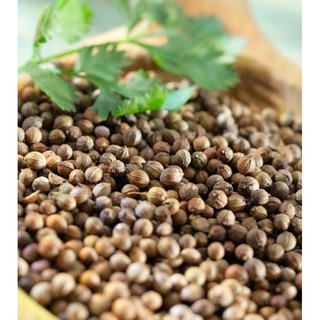 FRESH LOTION  HẠT MÙI GIÀ SOAILY