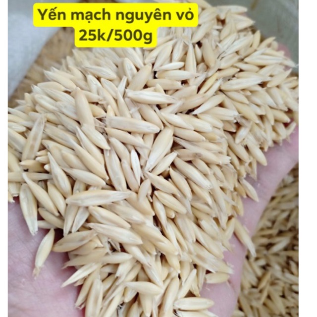 500g Hạt yến mạch nguyên vỏ cho vẹt nhỏ , bồ câu .