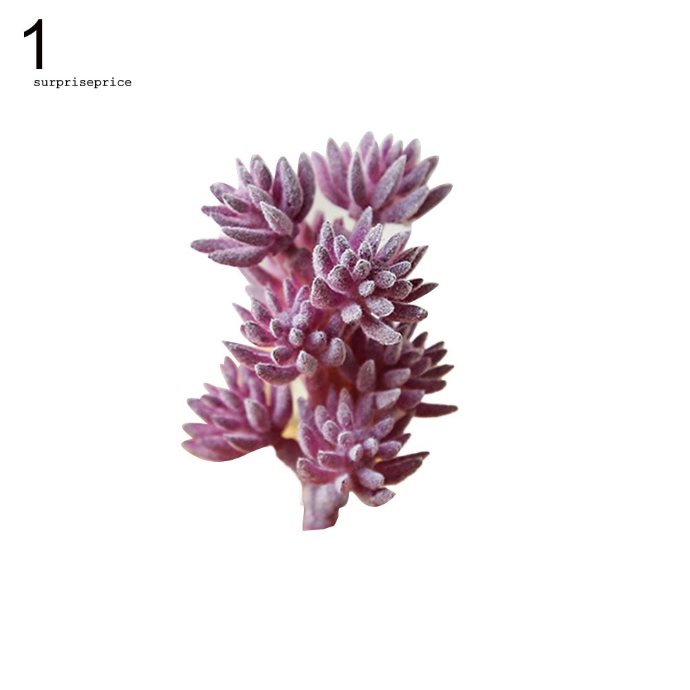 1 Cây Mọng Nước Nhân Tạo Dùng Cho Trang Trí