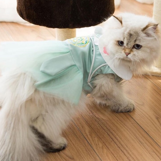 Áo cho thu cưng - Váy ren thêu hoa kiểu dáng cổ trang cho các boss thích sự nhẹ nhàng