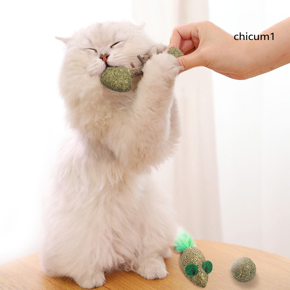 Đồ Chơi Gặm Nhắm Hình Cá Và Chuột Ch2 Cho Mèo