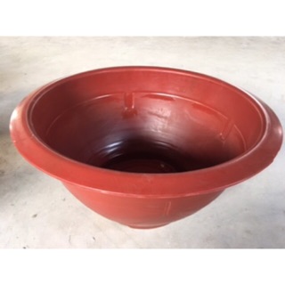 Combo 10 chậu tròn đỏ T 48