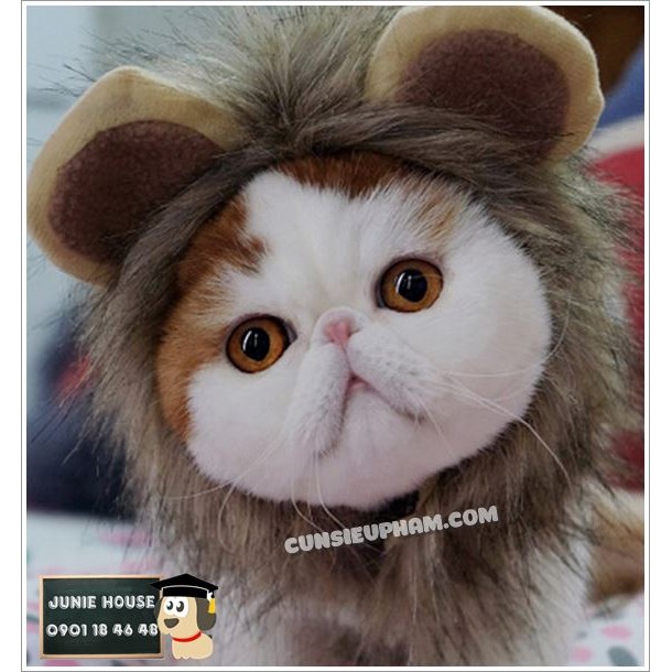 Nón đeo bờm sư tử hoá trang cho chó mèo nhỏ