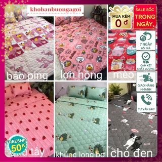 Xã Kho 300 Bộ chăn hè ga gối poly cotton