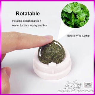 CỎ BẠC HÀ MÈO - KẸO CATNIP - VIÊN DƯỠNG LÔNG - VITAMIN GIẢM STRESS, TIÊU BÚI LÔNG, CÂN BẰNG DINH DƯỠNG CHO THÚ CƯNG