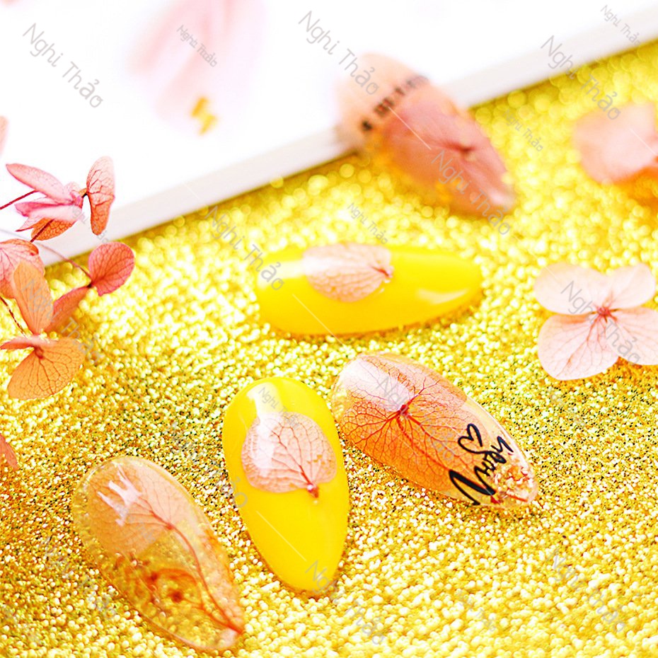 Hoa khô nail LADURA trang trí móng tay cánh to 7 màu