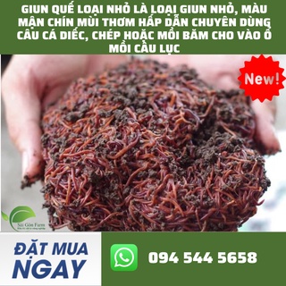 Giun quế câu cá thùng 0.5kg mùi thơm hấp dẫn chuyên dùng câu cá diếc, chép hoặc mồi băm cho vào ổ mồi câu lục