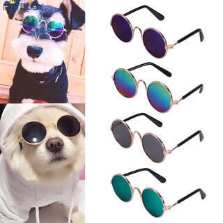 KÍNH MÁT CHO THÚ CƯNG