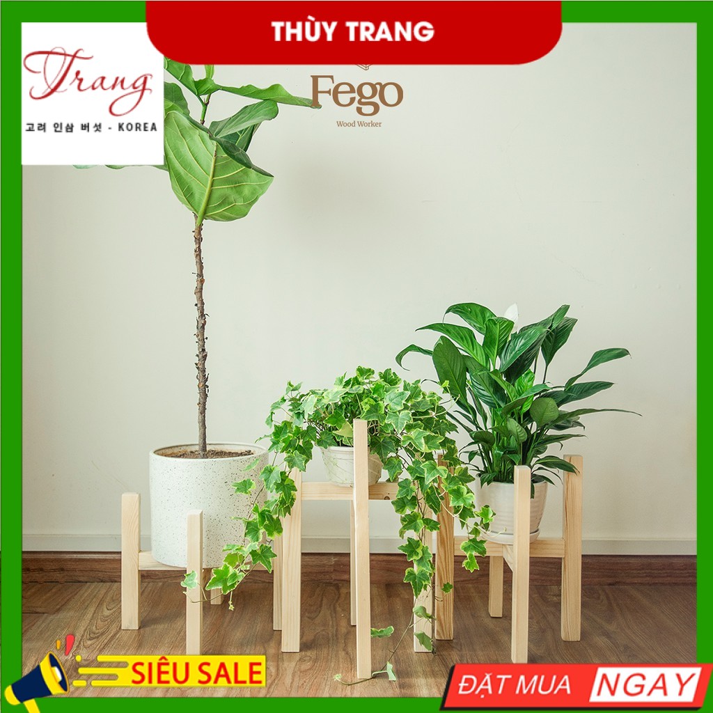 Đôn gỗ đựng cây cảnh FEGO0019/ Trang trí nhà cửa