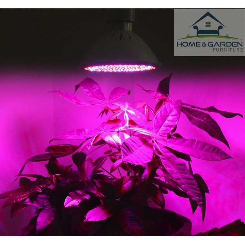 Đèn led trồng cây dùng trong nhà, led trồng cây công nghiệp và hộ gia đình công suất 20W mới 2018