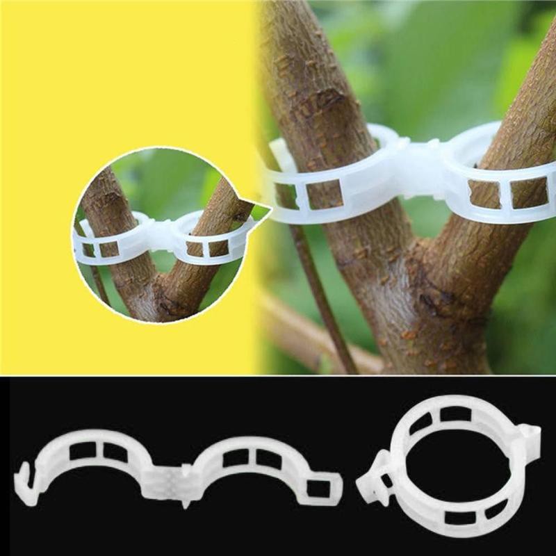 Kẹp nhựa cố định thân cây giúp tăng trưởng dùng cho nhà kính và nhà máy tiện dụng