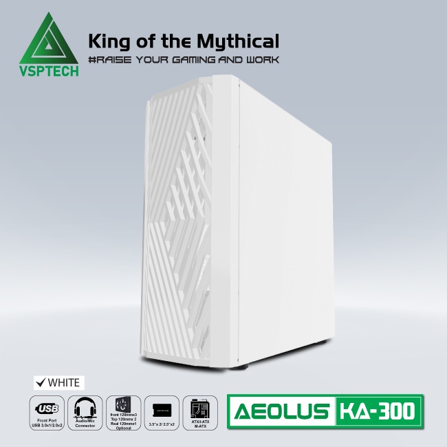 Vỏ Case VSP KA300 WHITE