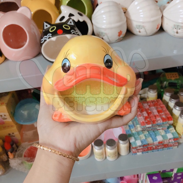 NHÀ SỨ VỊT [HAMSTER]