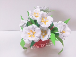 Chậu hoa - chủ đề thực vật
