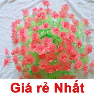 Hoa giấy handmade