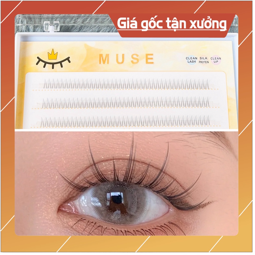 Lông mi dưới tách sợi HOT TREND