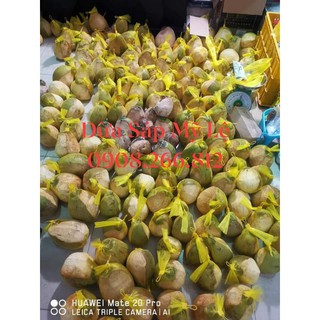 Dừa Sáp Đặc Biệt to ngon 220k