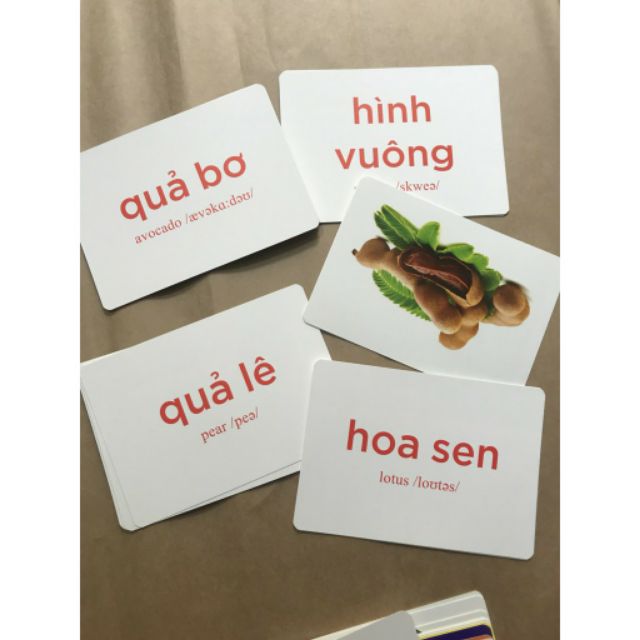 Flashcard Thế giới xung quanh 140 thẻ (khổ A5) - Thẻ Flash card