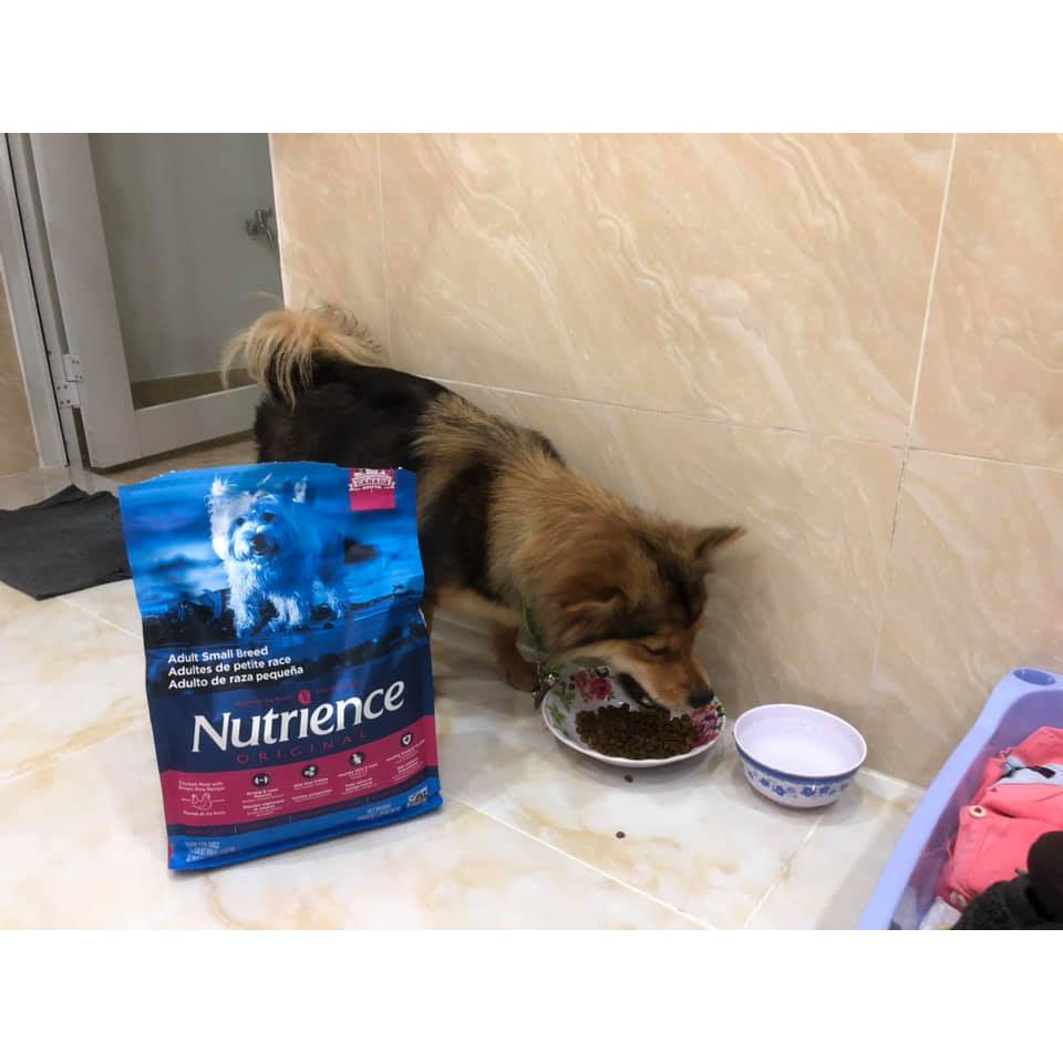 Thức Ăn Cho Chó - Size Nhỏ Trưởng Thành Trên 12 Tháng  Nutrience Infusion Bao 2,27kg - Thịt Gà, Rau Củ, Trái Cây