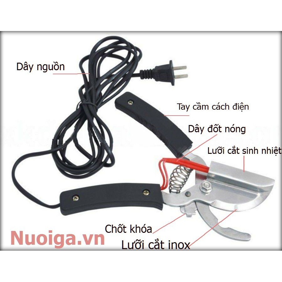 Kìm cắt đuôi heo
