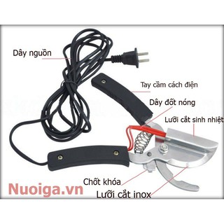 Kìm cắt đuôi heo