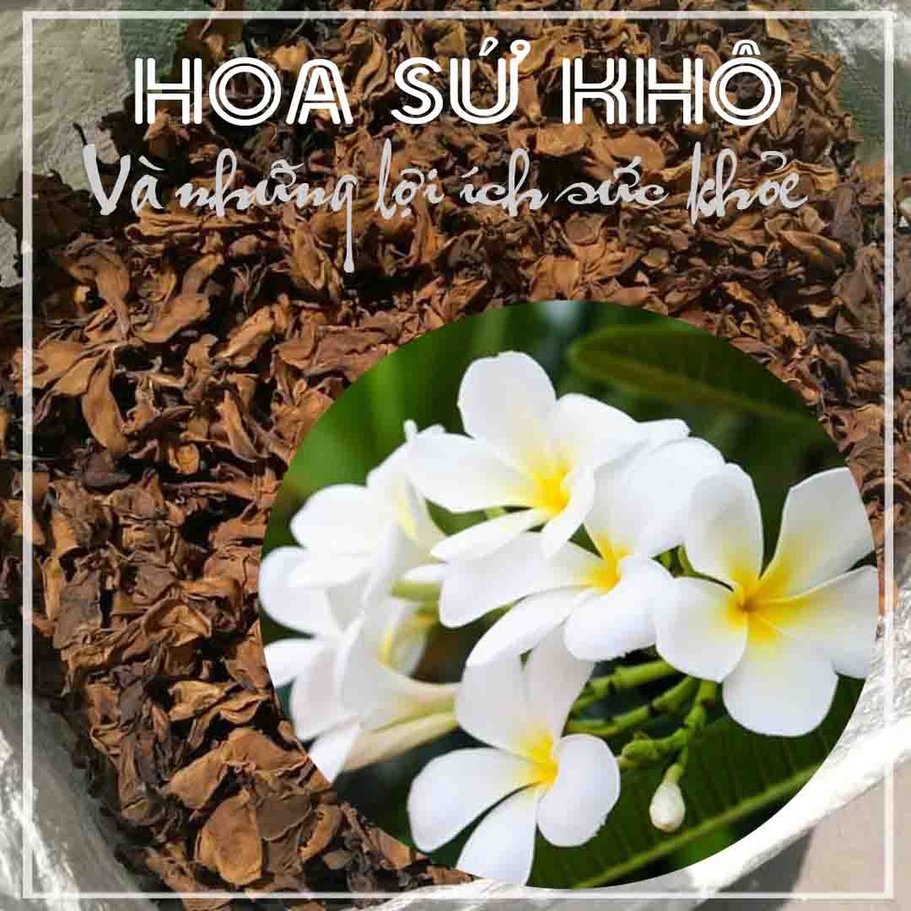 Thảo dược TRÀ HOA SỨ TRẮNG khô đóng gói 1kg - Hàng Công ty loại 1