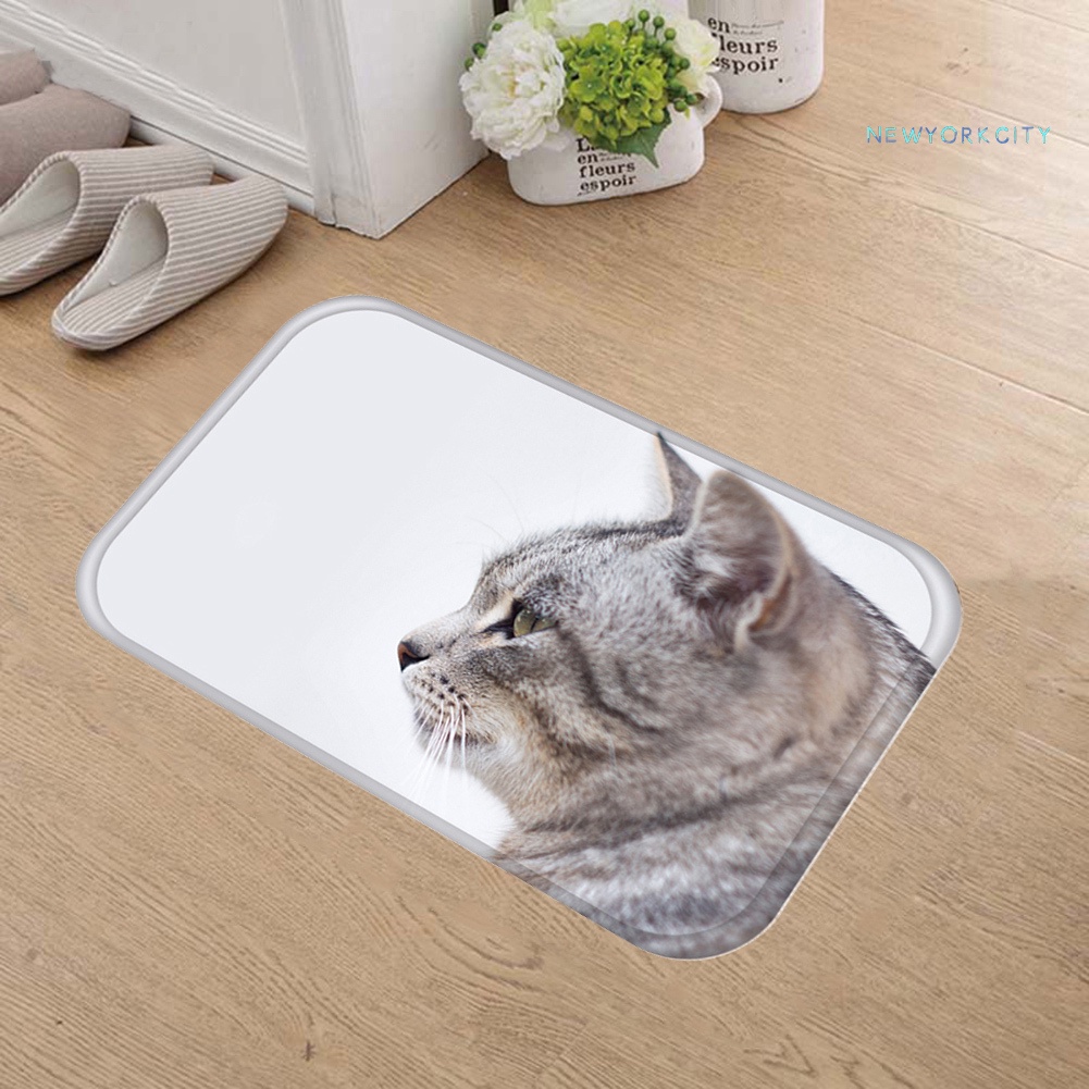 Thảm lót cửa chùi chân Chống Trượt In Hình Mèo 3D