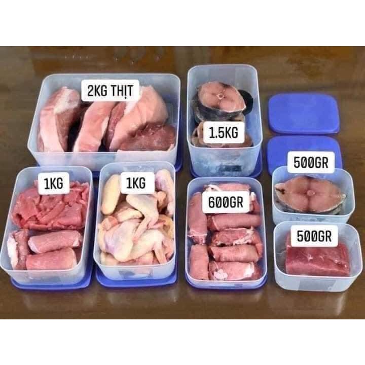 HÀNG CHÍNH HÃNG - Hộp trữ Đông Tupperware SIZE LẺ ĐỦ DUNG TÍCH