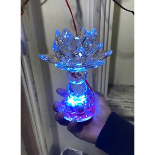 ĐÈN LED PHA LÊ ĐÀI SEN 502 1 CẶP