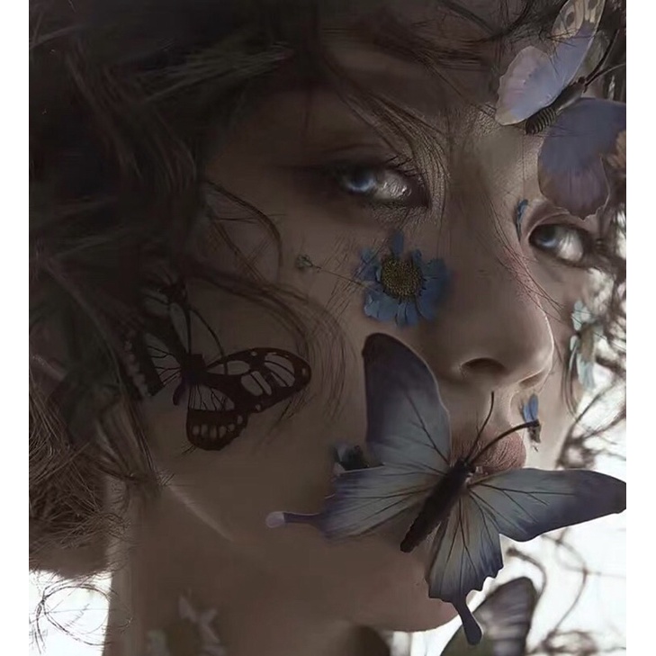 Set bướm make up chụp ảnh phong cách cổ trang cosplay có sẵn làm concept