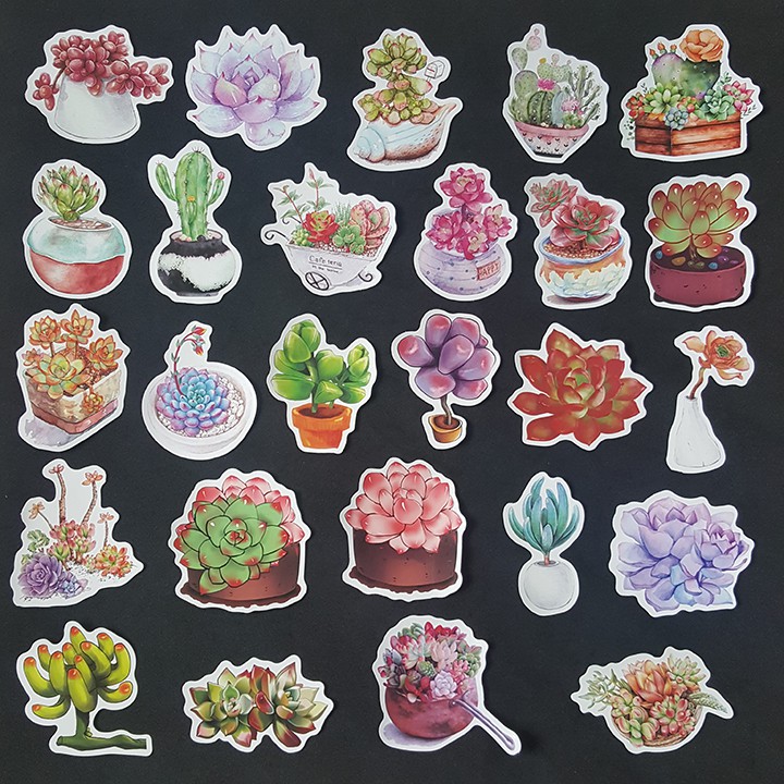 Bộ Sticker dán cao cấp chủ đề SEN ĐÁ SUCCULENTS - Dùng dán Xe, dán mũ bảo hiểm, dán Laptop...