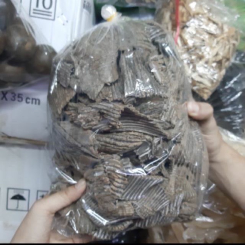 100 gram đổ trọng