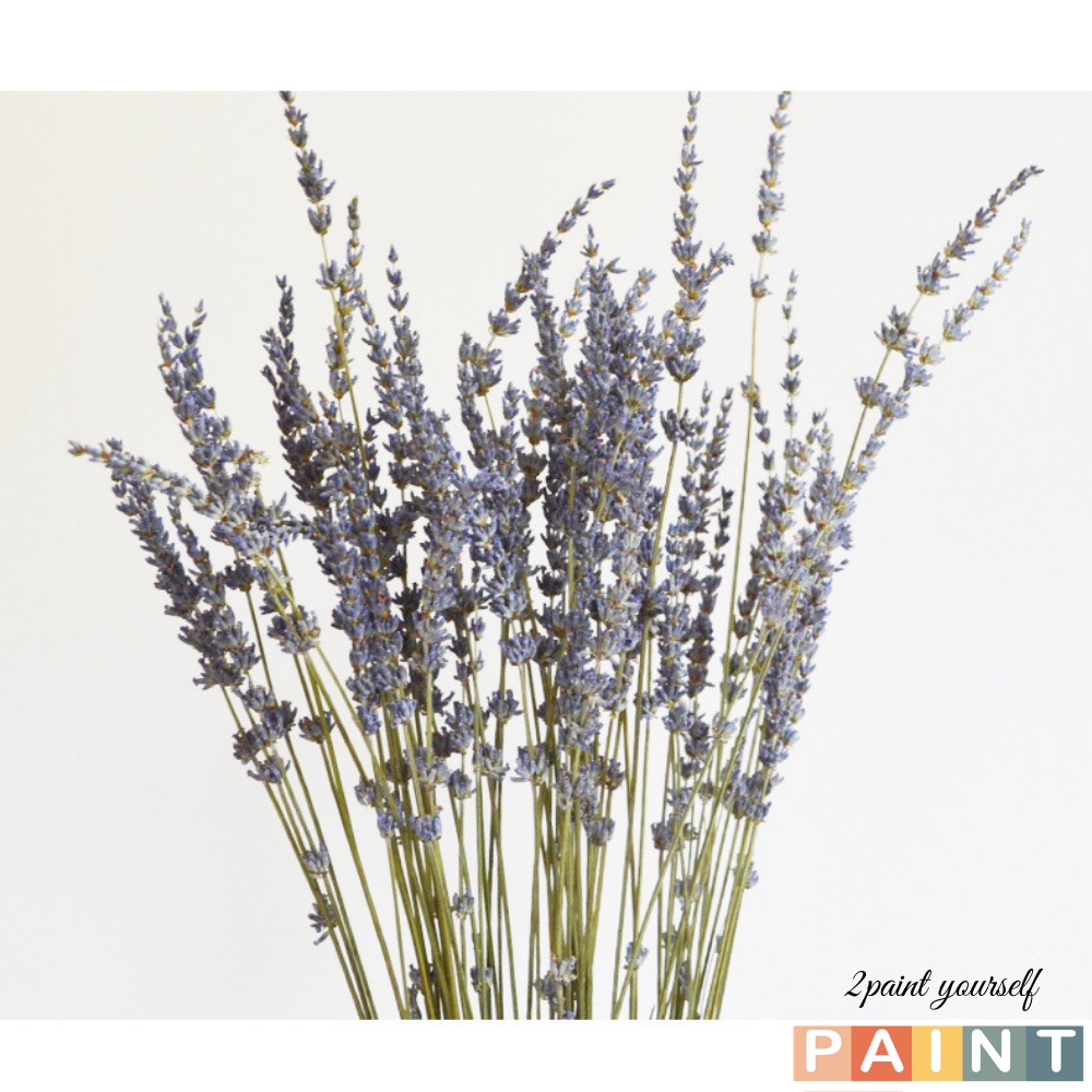 Bó 30 cành hoa lavender thơm ngát - Hoa khô oải hương trang trí handmade (cắm đươc 1 lọ thủy tinh để bàn)