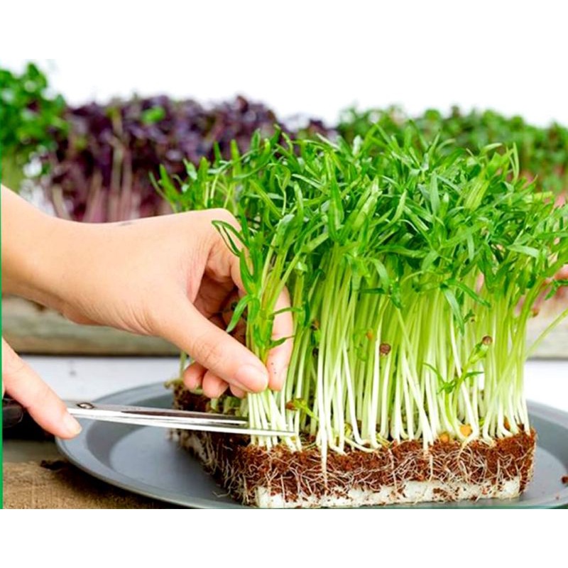 Sơ Dừa SFARM  Bao 20dm  Đã Qua Xử Lý Sạch Sẽ Trồng Rau Và Hoa