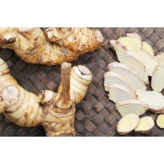 300G RIỀNG CỦ TƯƠI
