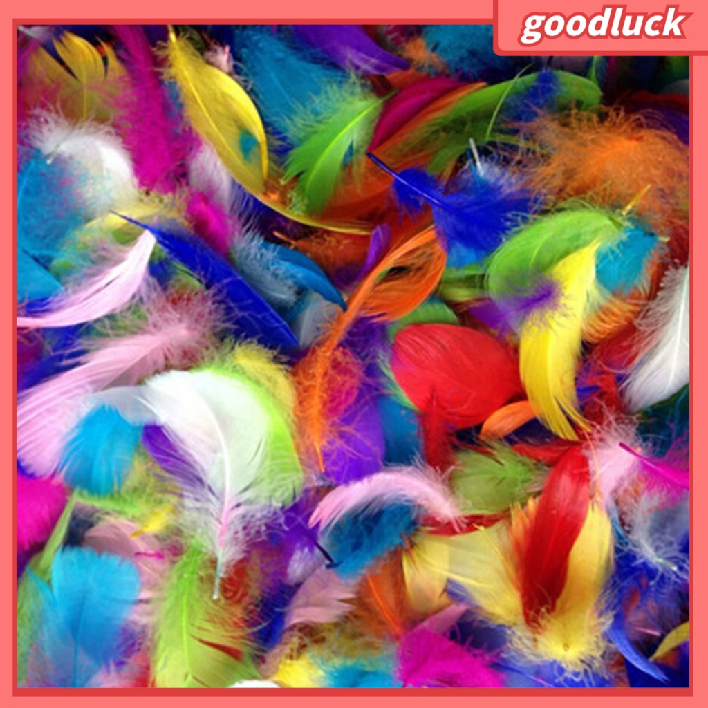 Bộ 100 Lông Vũ Nhiều Màu Sắc Dùng Trang Trí Thủ Công DIY