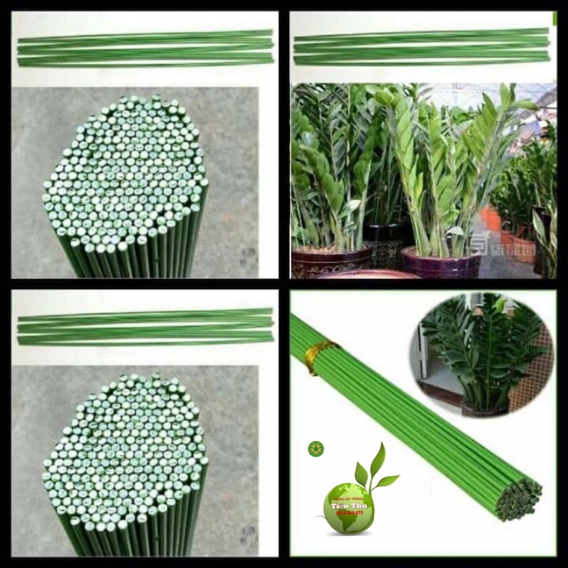 1kg Que lõi thép bọc nhựa chuyên dùng cắm hoa lan cây cảnh 1,2m