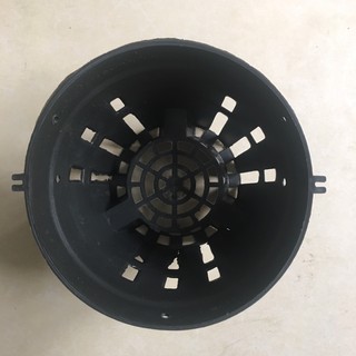 Combo 10 chậu trồng lan fi 21