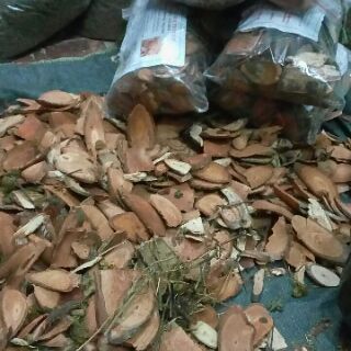 Cỏ máu tăng cân