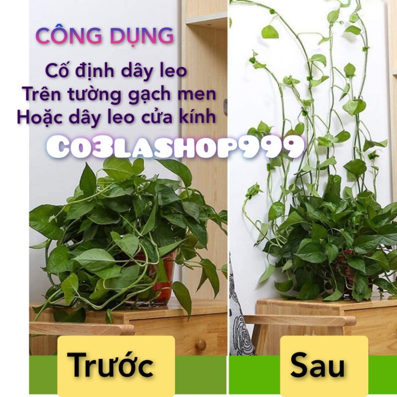 Nút cố định dây điện, dây leo tường leo cửa kính trang trí nhà cửa, nhựa (1 cái)