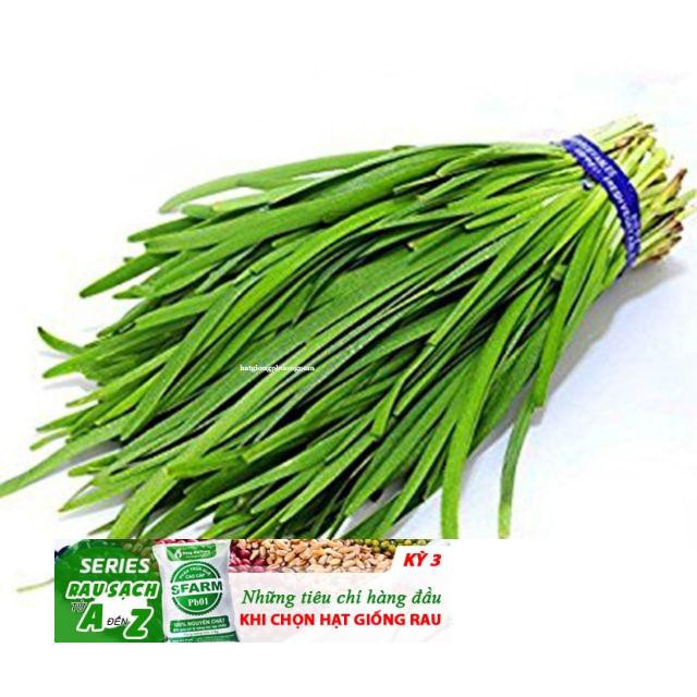 Gói 50 Hạt cây hẹ thơm