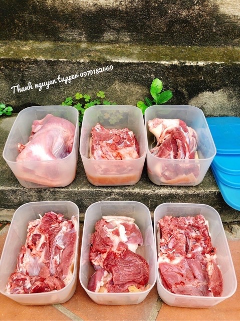 Set 3 hộp 650ml trữ đông Tupperware