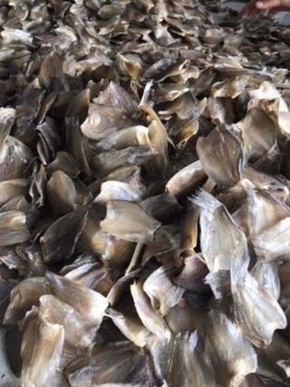 KHÔ CÁ SẶC BƯỚM