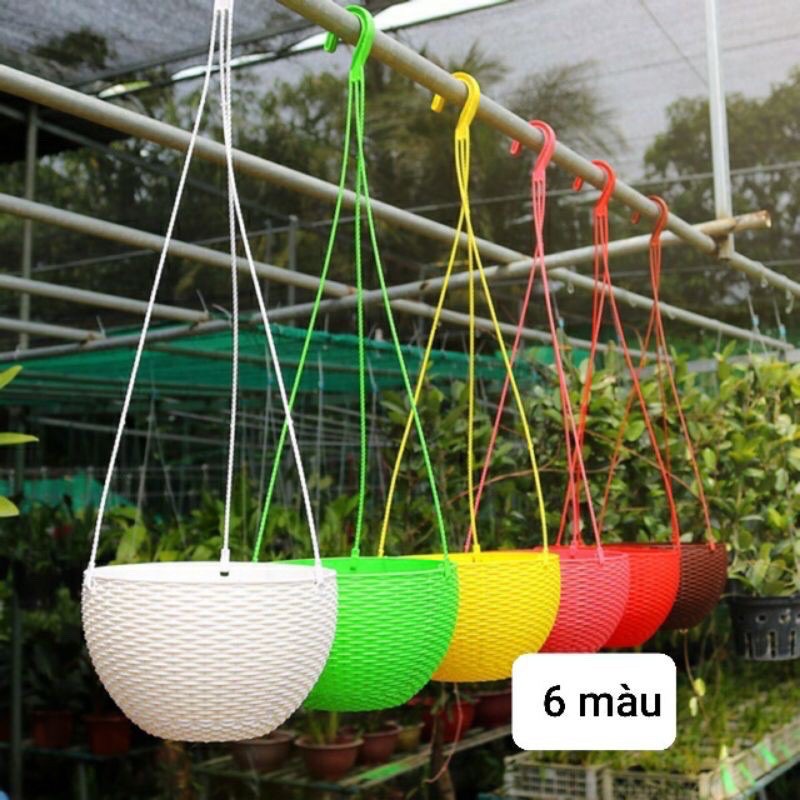 Chậu treo mây trồng hoa ca cảnh có dây treo 6 mầu