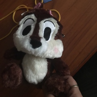 Gấu của linh đan