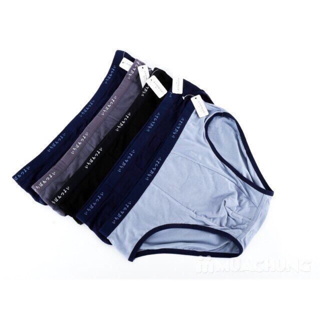 Quần Lót, Quần Chip Nam Cotton Nhật Cao Cấp (hàng loại 1 vải co dãn 4 chiều cực mát)