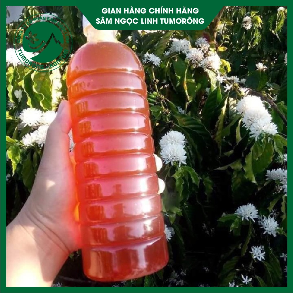 Mật Ong Hoa Cà Phê - Mật Ong Nguyên Chất 100% - Mật Ong Tự Nhiên Tumorong