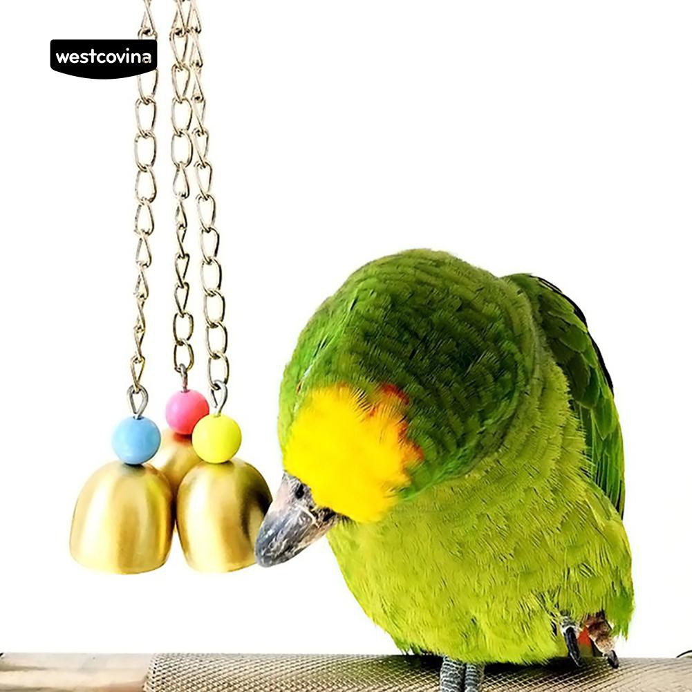 Đồ chơi gắn chuông và hạt nhiều màu vui nhộn cho vẹt