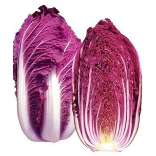 Hạt giống cải thảo tím F1 ( túi 20 hạt )