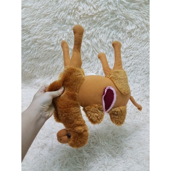 Gấu bông con lạc đà giống như thật